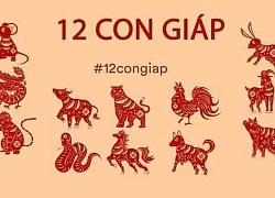 Tử vi thứ Sáu ngày 28/1/2022 của 12 con giáp: Tý vận đào hoa suy giảm, Dậu có cơ hội phát tài phát lộc