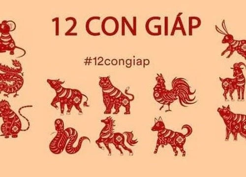 Tử vi thứ Sáu ngày 28/1/2022 của 12 con giáp: Tý vận đào hoa suy giảm, Dậu có cơ hội phát tài phát lộc