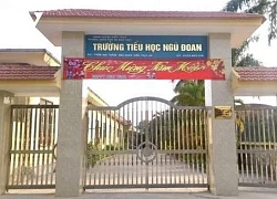 Vụ học sinh bị đánh tím mông: Lệnh cho một đứa trẻ đánh bạn là phản giáo dục!