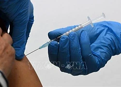 WTO để ngỏ khả năng về một thỏa thuận dỡ bỏ quyền sở hữu trí tuệ của vaccine ngừa COVID-19