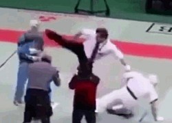 Clip: Trọng tài tung cước hạ gục hai võ sĩ karate ngay trên sàn đấu