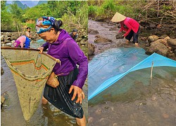 Hà Giang: Bắt cá suối tươi roi rói kiểu kỳ lạ, đàn bà khỏe như lực sỹ, tốc váy, ném hòn đá cuội