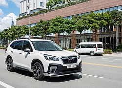 Subaru Forester ưu đãi sốc đến hơn 200 triệu