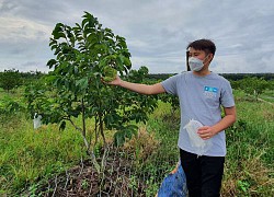 Tây Ninh: Trồng cây đặc sản ra trái khổng lồ khác thường, cứ hái 1 cây nông dân cầm ngay 2 triệu