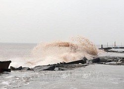 Các tỉnh, thành phố từ Quảng Ninh đến Cà Mau chủ động ứng phó gió mạnh, sóng lớn trên biển