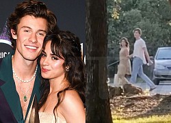 Camila Cabello và Shawn Mendes bị &#8220;tóm sống&#8221; hẹn hò ở công viên sau 2 tháng chia tay