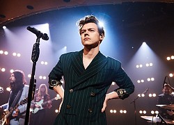 Fan khởi kiện vì bị giẫm đạp khi đi xem show của Harry Styles