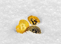 Giá Bitcoin biến động khó lường, báo hiệu cho "một mùa đông Bitcoin" đang đến?