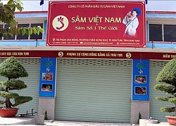 Kon Tum vào cuộc tìm diện tích sâm Ngọc Linh của Công ty sâm Việt Nam