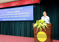 Phó Chủ tịch UBND TP.HCM Võ Văn Hoan: Nên khuyến khích nông dân... mua máy bay để vào đất!