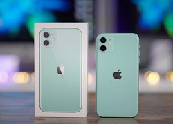 Rẻ ngang iPhone XR nhưng mạnh hơn nhiều, mẫu iPhone này có đáng mua?