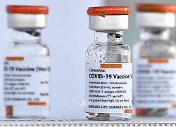 Tìm lời giải về hiệu quả của hai loại vaccine CoronaVac và VeroCell