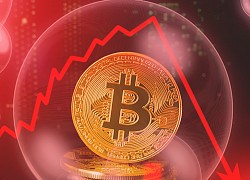 Tỷ phú tiền điện tử đưa ra dự đoán gây "choáng" về Bitcoin, nhà đầu tư hoảng loạn