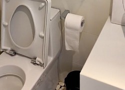 2 lần dân tình "xỉu ngang" vì những chiếc WC lạ đời nhất Việt Nam, dân kiến trúc nhìn xong cũng ngỡ ngàng - ngơ ngác - bật ngửa