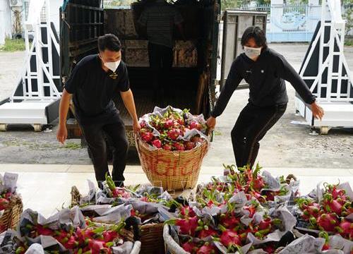 Cần Thơ: Hỗ trợ nông dân tiêu thụ 5 tấn thanh long ruột đỏ