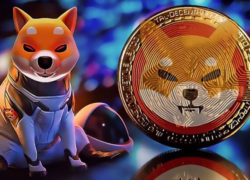 'Coin chó' Shiba Inu và những điều cần biết trong năm 2022