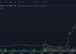 Công ty đá ốp lát muốn tăng vốn hơn 1.000 tỷ, rót tiền vào dự án nghỉ dưỡng ở Phú Quốc