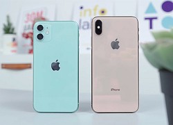 iPhone 11, iPhone 12 đồng loạt giảm giá dịp cuối năm