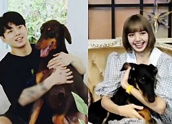 Lisa (BLACKPINK) đăng ảnh hé lộ &#8220;hint&#8221; hẹn hò với Jungkook (BTS), tính công khai luôn hay gì?