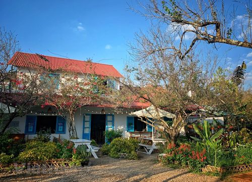 Những homestay thú vị nên trải nghiệm khi đến Mộc Châu