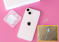 Nhược điểm lớn nhất của Apple qua "18 đời" iPhone vẫn chưa được khắc phục, netizen chán nản!