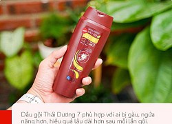 Review dầu gội dược liệu Thái Dương cho team mê tóc bồng bềnh, suôn mượt