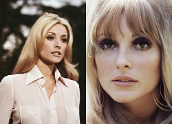 Sharon Tate &#8211; Tượng đài sắc đẹp Hollywood bị chồng ép phá thai và gọi là &#8220;mụ câm&#8221;, đoản mệnh tuổi 26