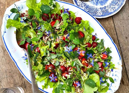 3 món salad dễ làm cho chuyến dã ngoại đầu năm