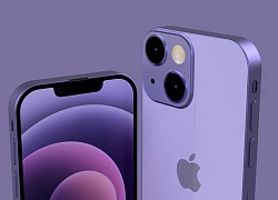 Apple có thể sẽ ra mắt iPhone 13 màu tím trong sự kiện tiếp theo vào tháng 4/2022?