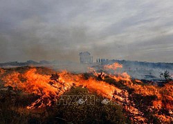 Argentina nỗ lực dập tắt các đám cháy rừng