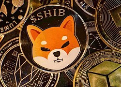 CoinMarketCap bị tố đăng địa chỉ ví Shiba giả mạo