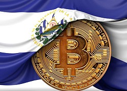 El Salvador thua lỗ khi đầu tư 1.391 Bitcoin