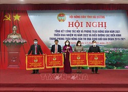 Hỗ trợ nông dân phát triển nông nghiệp bền vững