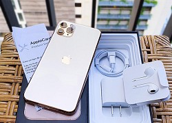 iPhone đang sale mạnh dịp Tết: iPhone 11 giảm gần 6 triệu, XS Max giảm 3 triệu, 13 Pro Max giảm 5 triệu