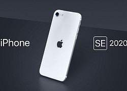 iPhone SE 2020 có đáng để người dùng iPhone 7 nâng cấp?