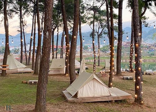 Phoenix Camp Ground - Khám phá khu camping mới toanh giữa rừng thông tại Mộc Châu