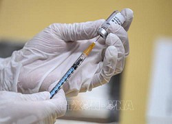 Thử nghiệm tiêm mũi vaccine tăng cường của Pfizer và vaccine phế cầu khuẩn cho kết quả khả quan