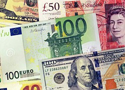 Tỷ giá USD, Euro ngày 13/1: USD giảm mạnh khi lạm phát thành mối nguy