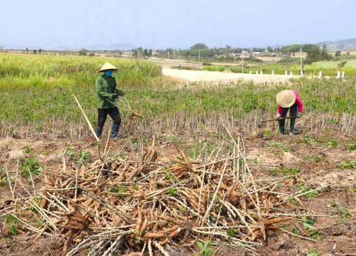 Việt Nam bán sang Trung Quốc hơn 2,5 triệu tấn nông sản này nhưng lại mua của Campuchia tới 1,3 triệu tấn