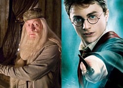 Xếp hạng 10 nhân vật Harry Potter từ yếu tới mạnh nhất: Thứ hạng của Harry gây hụt hẫng, Voldemort còn chả vào được top 3!