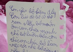 Bé trai viết thư gửi bố mẹ và em gái, đang dạt dào tình cảm thì câu cuối khiến ai nấy cười muốn xỉu