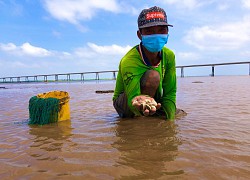 Có một nơi giúp nông dân Bạc Liêu tiêu thụ sản phẩm, còn tận tay hướng dẫn kỹ thuật canh tác