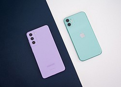 Cùng phân khúc giá, mua iPhone 11 hay Galaxy S21 FE chơi Tết 2022?