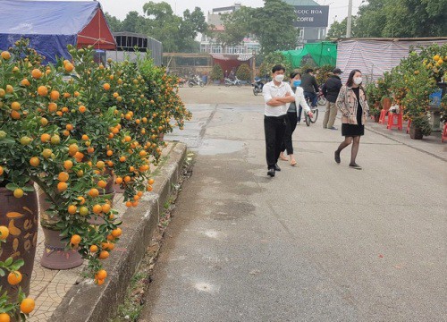 Đi chợ hoa xuân Ninh Bình phải mang căn cước công dân, xét nghiệm Covid-19