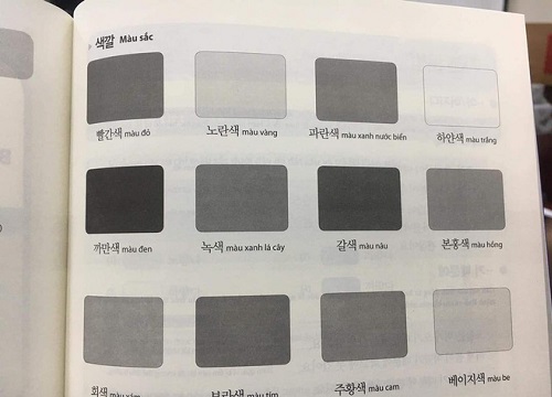 Người Việt học cách phân biệt màu sắc, nhưng nhìn vào quả bảng màu như này thì 99,99% bỏ cuộc ngay thôi!