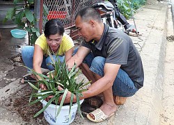 Ở nơi này của Hà Giang có những vườn trồng lan rừng la liệt, chủ nhà không bán, chỉ để chơi