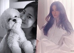 Song Hye Kyo lộ dấu hiệu lão hoá ở tuổi 40, khác xa với hình ảnh trên phim