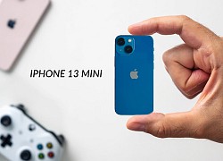 Vì sao chúng ta thích smartphone nhỏ gọn nhưng không mua?