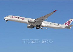 Airbus hủy đơn đặt hàng máy bay của Qatar Airways