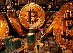 Bitcoin bước vào những ngày đen tối, giá trị có thể "bốc hơi" một nửa ngay trong năm nay?